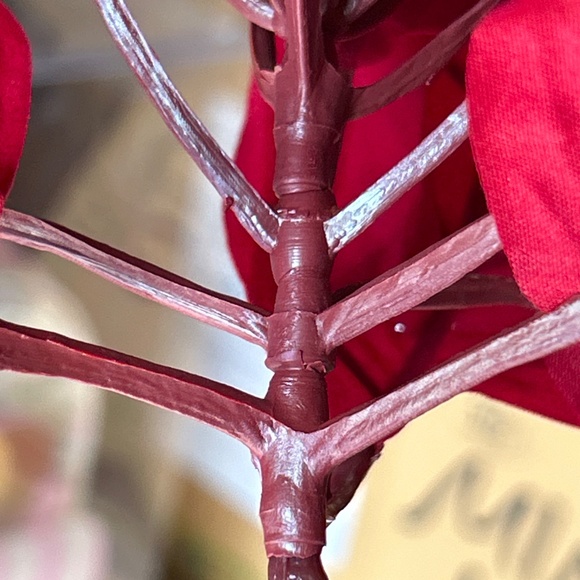 Balsam Hill Poinsettia 12 Set Picks Christmas Tree New - Picture 6 of 12